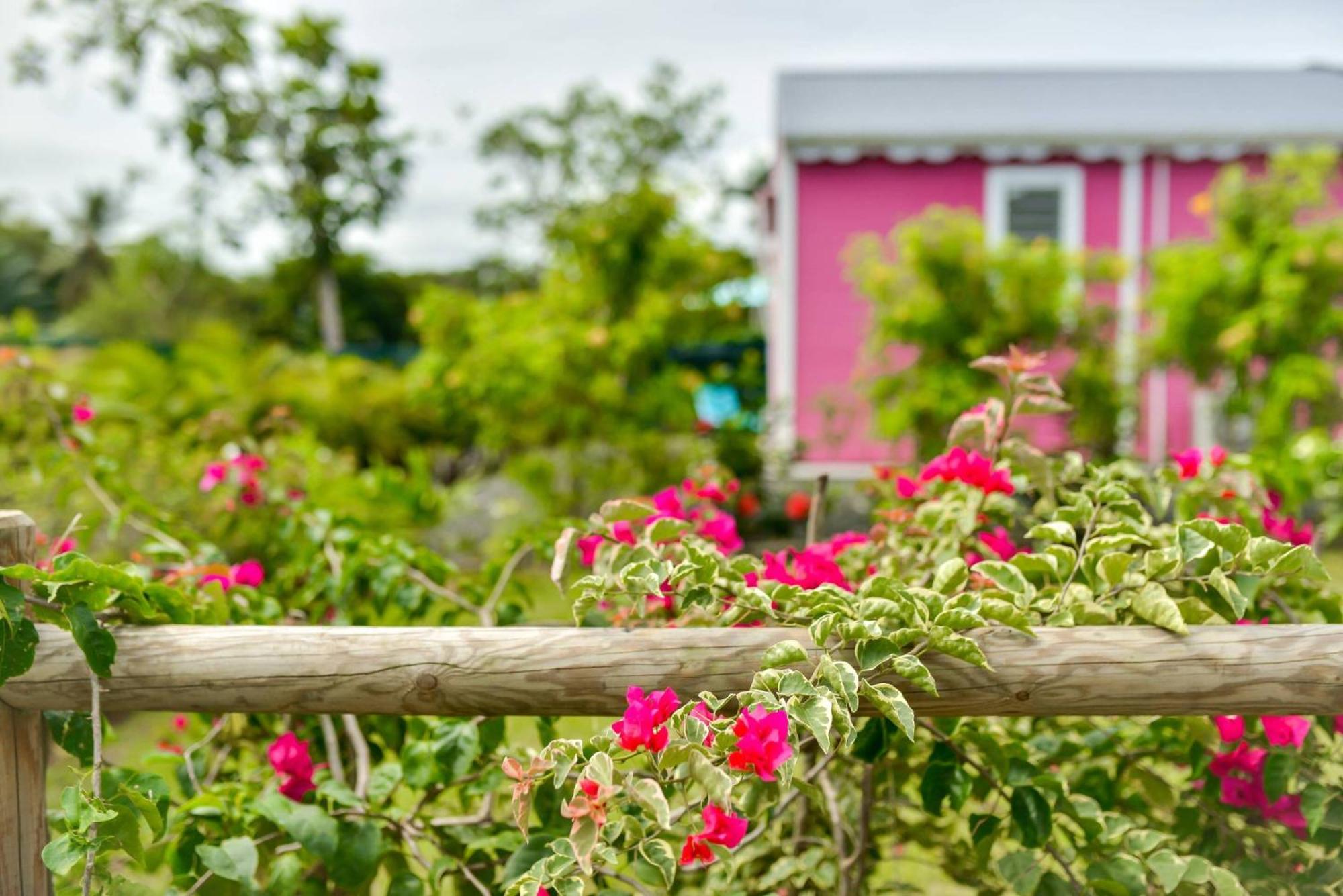 Les Jardins De Chantilly -Bungalows 4 Etoiles Avec Jardins Et Piscines Privees Baie-Mahault Δωμάτιο φωτογραφία